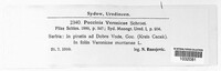 Image Associated With the Occurrence
